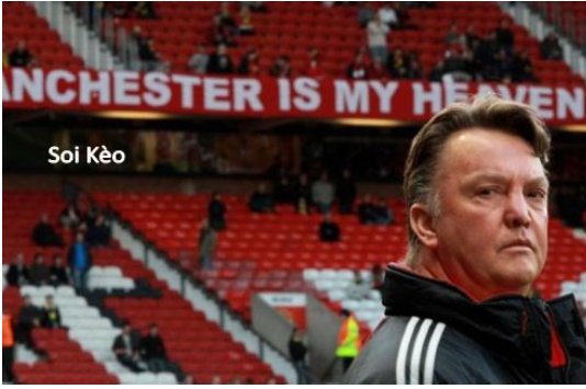 Nhà cái tin Van Gaal sẽ ra đi