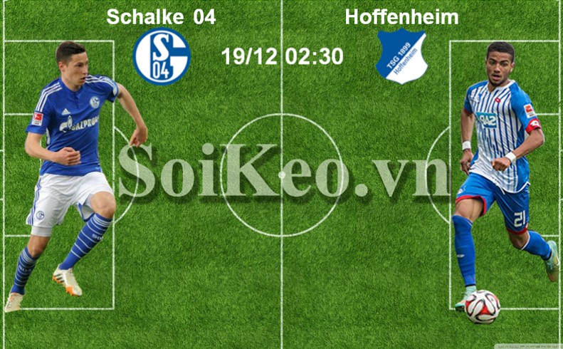 Soi Kèo thông tin trước trận Schalke – Hoffenheim 19/12 02:30