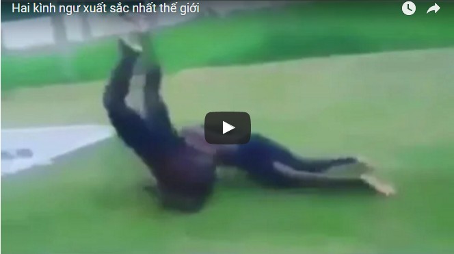 Hai kình ngư xuất sắc nhất thế giới